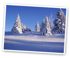Paysage de neige aux Longevilles Mont d'Or